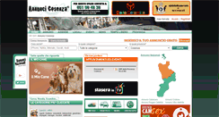 Desktop Screenshot of annuncicosenza.it